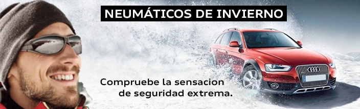 Comprueba la sensación de conducir con Neumáticos de invierno.