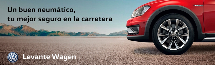 Un buen neumático tu seguro en la carretera