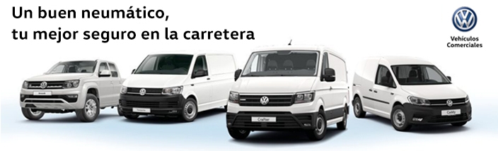 Un buen neumático tu seguro en la carretera