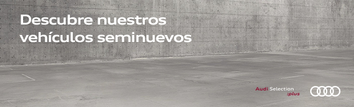 Audi Segunda mano Julio 2019 Valencia