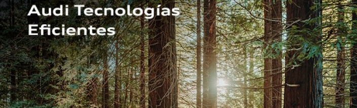 Audi Tecnologías Eficientes