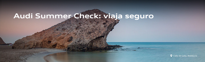 Audi Summer Check Valencia