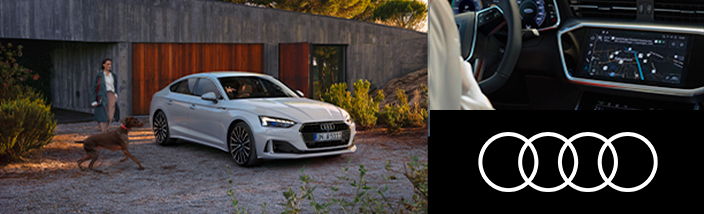 En nuestros talleres  Audi  Levante Wagen premiamos tu fidelidad