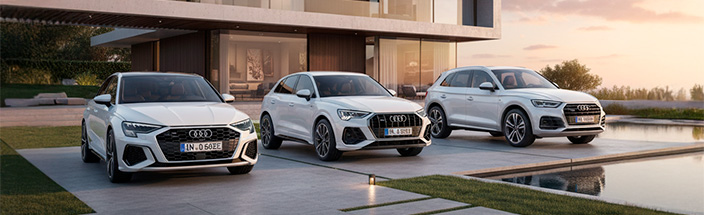 Audi Electric Days